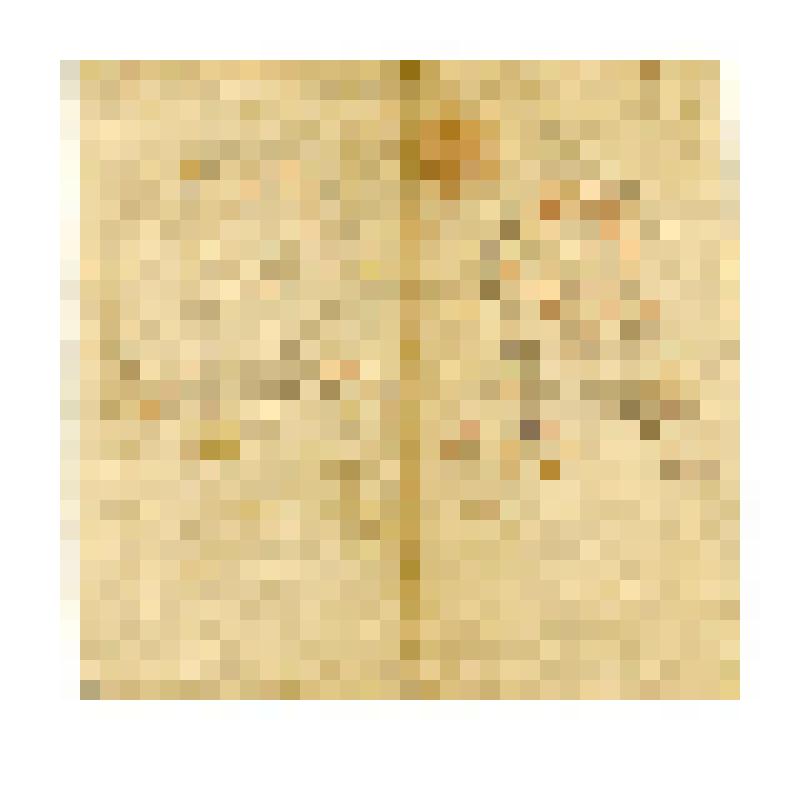 Иконный образец. Иоанн Предтеча, оглавно