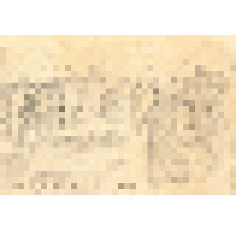 Из истории Пугачевского восстания