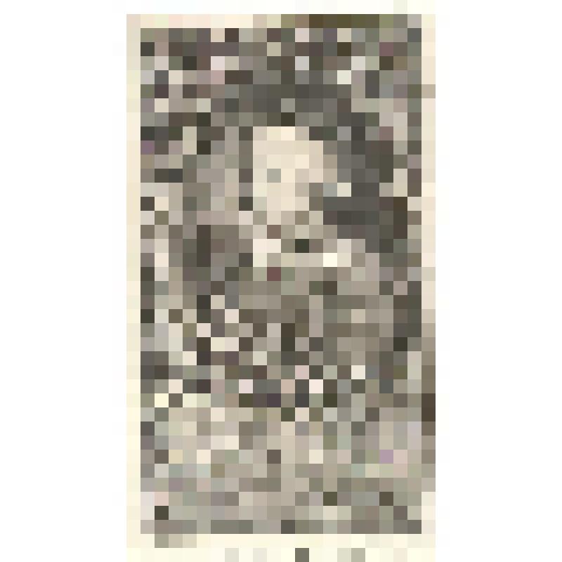 Портрет Мирабо Старшего