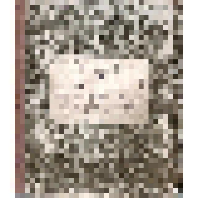 Книга для приемки и продажи муки и разных припасов Чердынского купца Г.П.Гусева, 1884 - 1886 гг