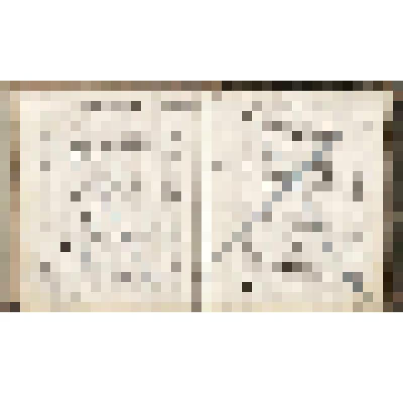 Книга для приемки и продажи муки и разных припасов Чердынского купца Г.П.Гусева, 1884 - 1886 гг