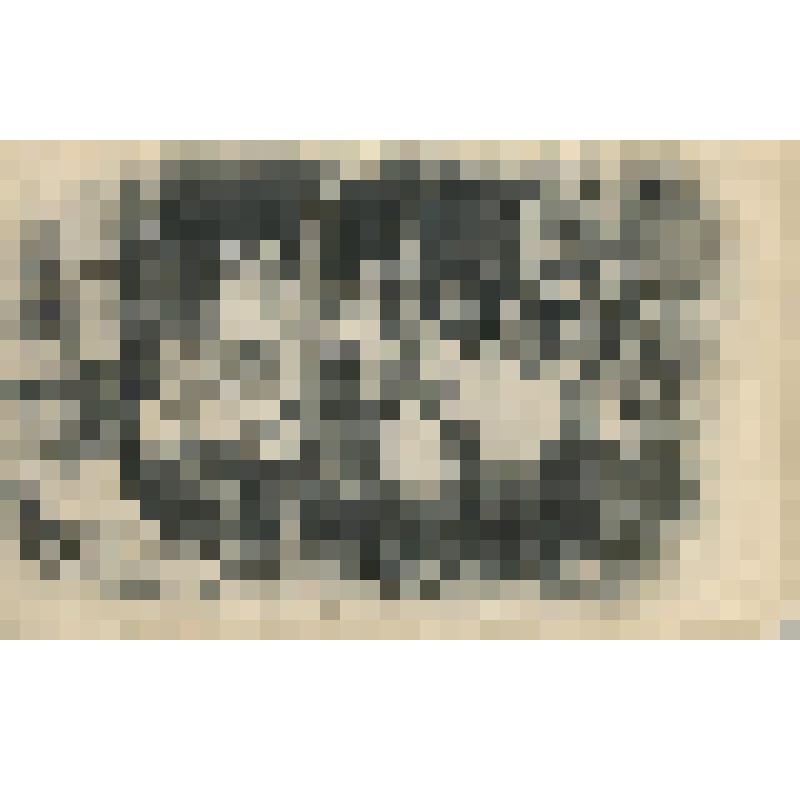 Открытка.Типы России