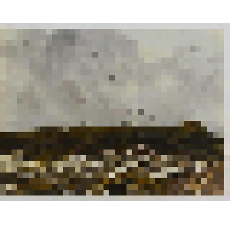 Акварель. Пришла весна