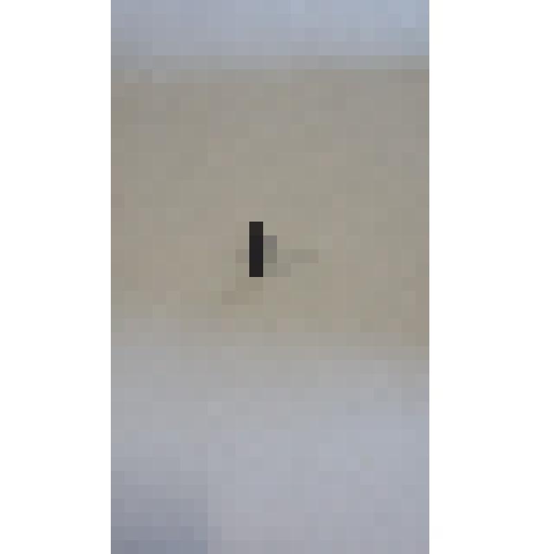 Пуля пистолетная (ракетница)