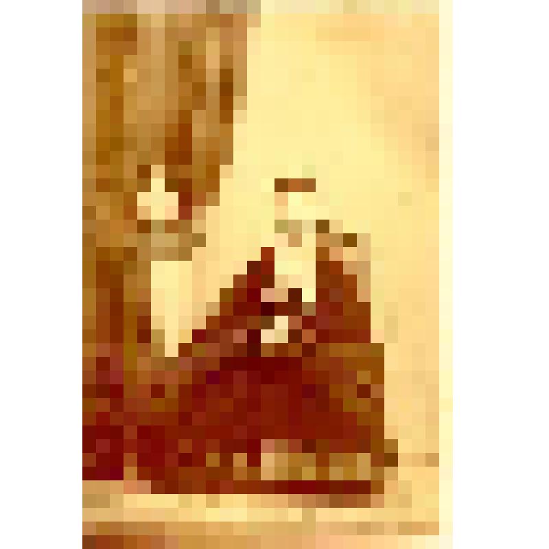 Фотография. Виллуан Ольга или Юлия Александровна, дочь Александра Ивановича Виллуана