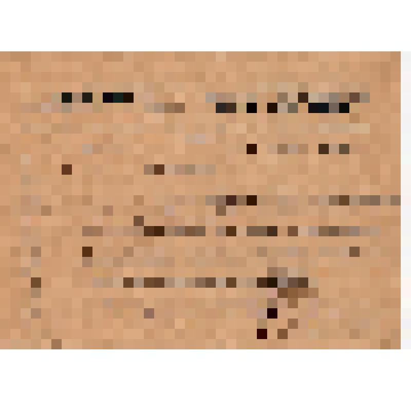 Удостоверение Малахова И.И., командированного в Ворошиловскую и Калининскую МТС