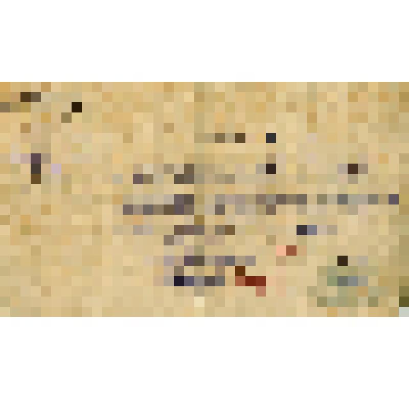 Мандат N1313 делегата 10 Окружной партконференции Кержнера Б.В