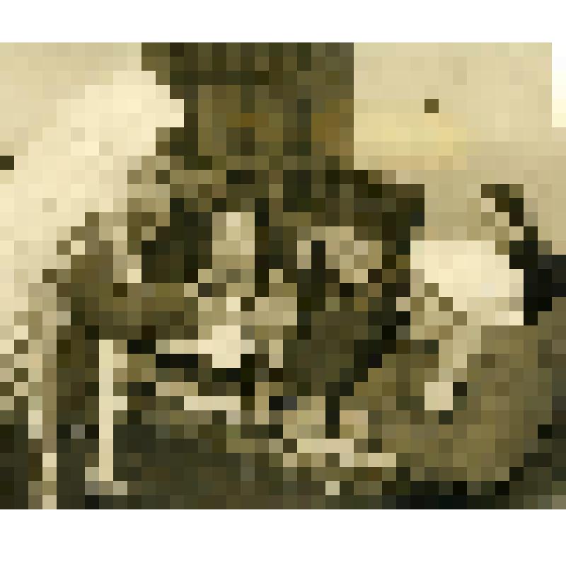 Фотография. Занятия колхозного кружка по ликвидации безграмотности