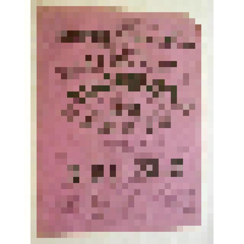 Афиша с исполнителями. "Запорожец за Дунаем"; "Жена напрокат". Украина, Екатерининский театр; Антреприза, Товарищество русско-малорусских артистов под управлением А.К. Саксаганского