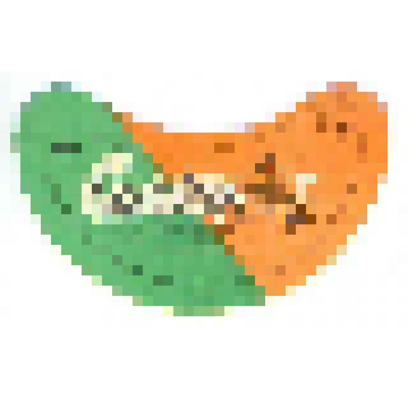 Кольеретка-этикетка горловая к напитку «Саяны» производства предприятия ГлавУРСа (Главного управления речной связи), из коллекции кольереток – этикеток горловых к безалкогольным напиткам