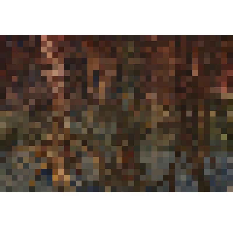 "Стволы"