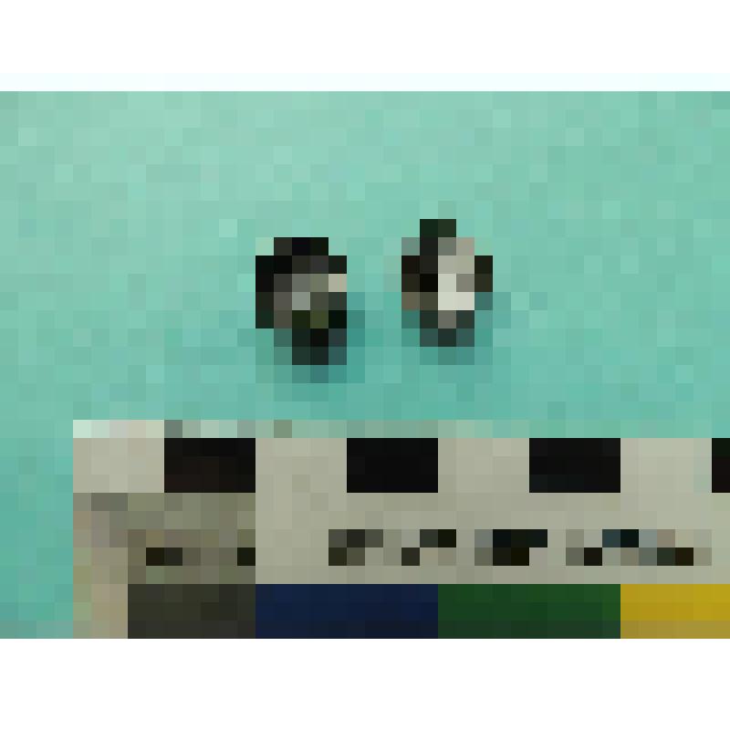 Бляшка полусферическая