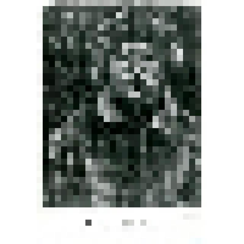 Фотокопия. В.А. Горохов- проводник Русской Полярной экспедиции