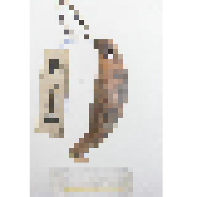 Украшение (амулет) из клыка с отверстием  для подвешивания