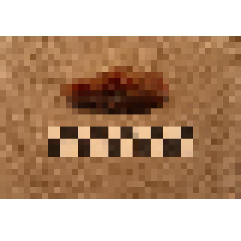 Резец