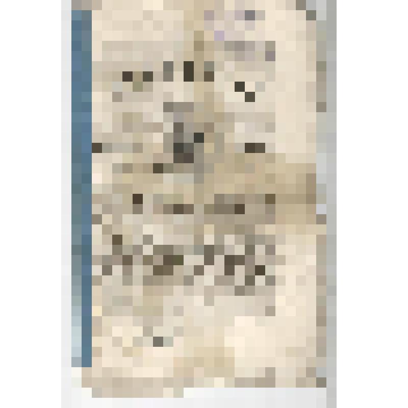 Журнал. Иркутские Епархиальные ведомости. 25 декабря. № 52. Иркутск. 1876