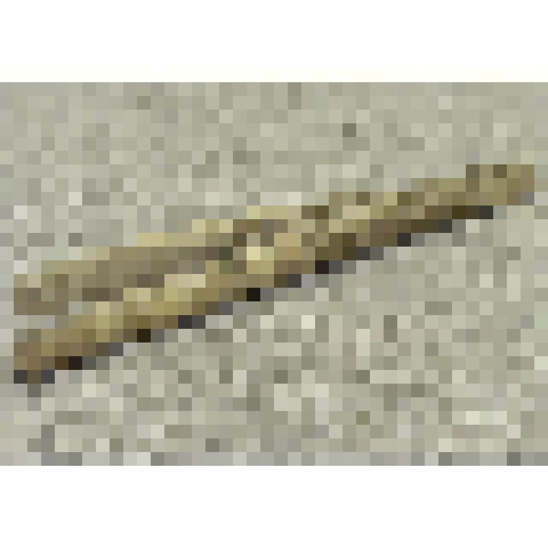 Рогатка, бондарная