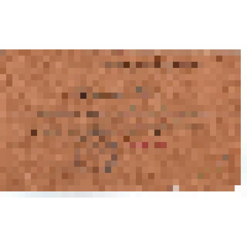 Мандат фракционный XIV Чистопольского съезда советов №18, 1923 г