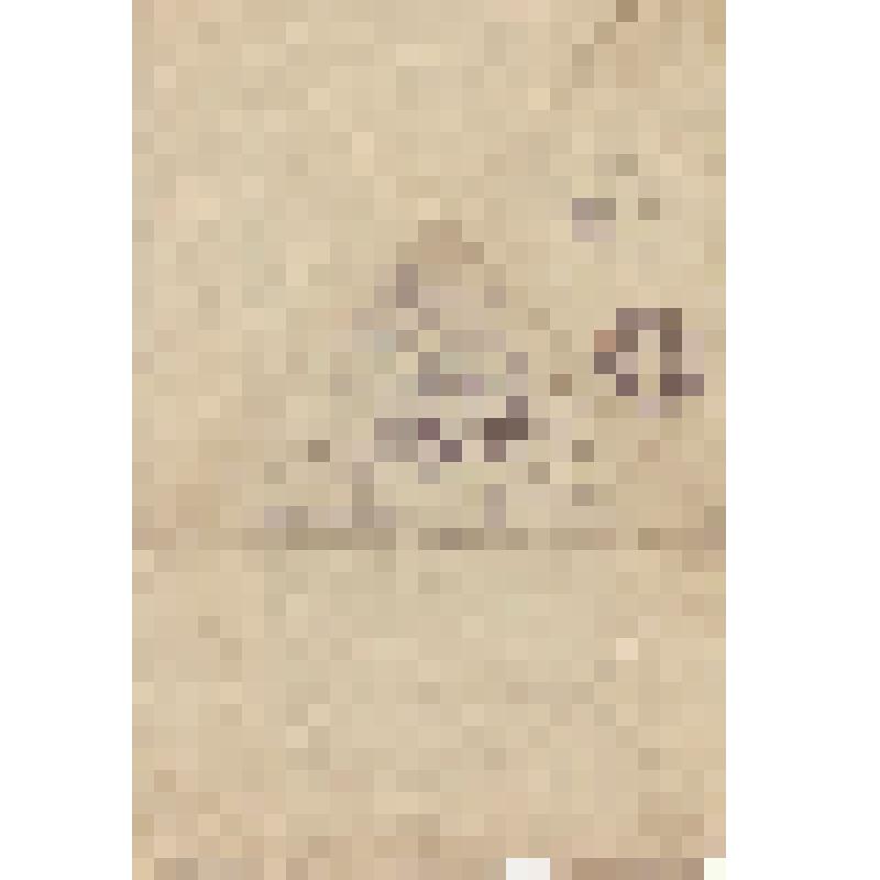 Письмо - треугольник Антоновой О.Ф. в г. Фурманов, Ивановской обл. от сына Захарова А.И