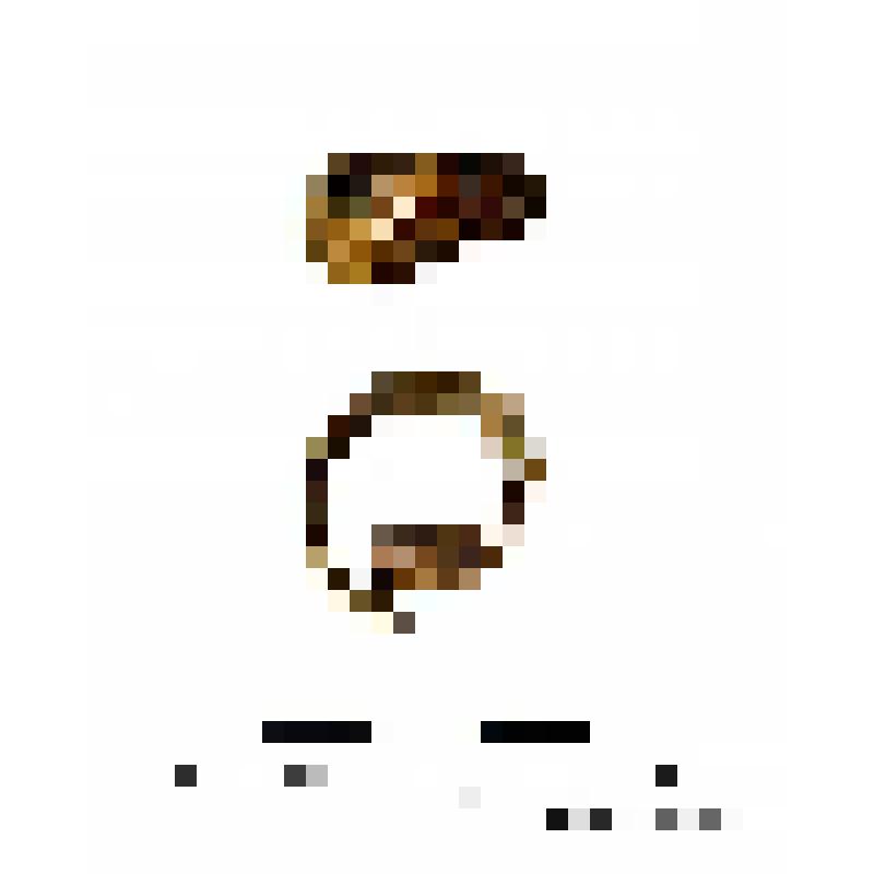 Фрагмент перстня