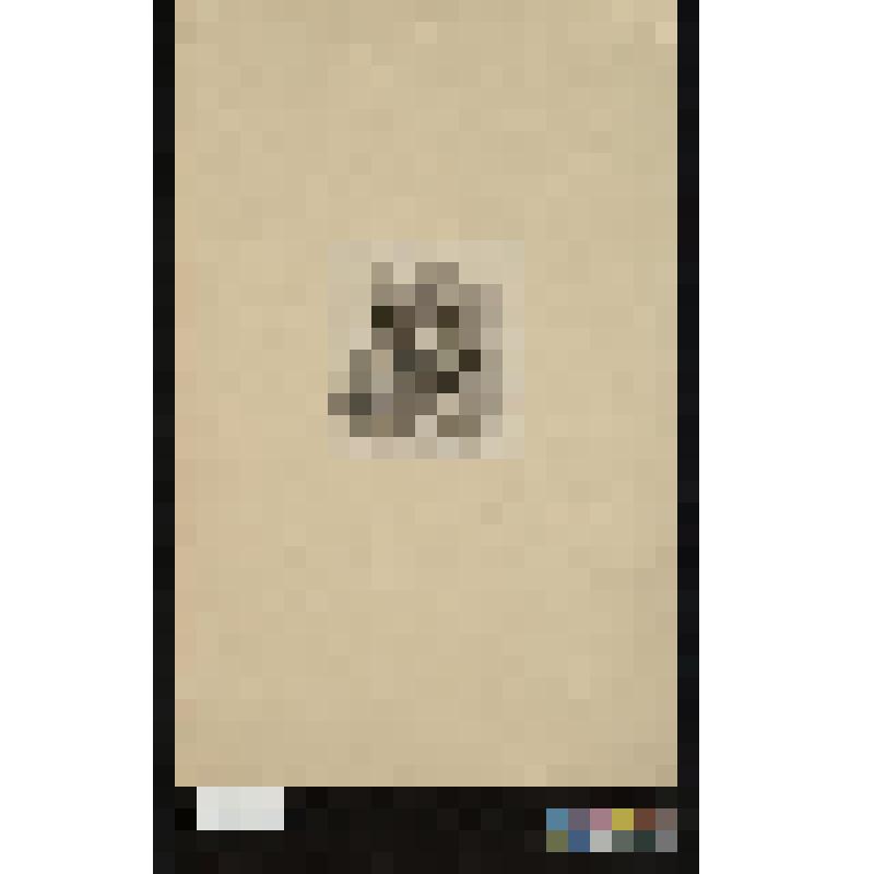 Листы из сюиты воспроизведений выполненных в XIX веке с карикатур XVIII века времени Французской революции "Les derniers hoquets de l' Aristocratie"