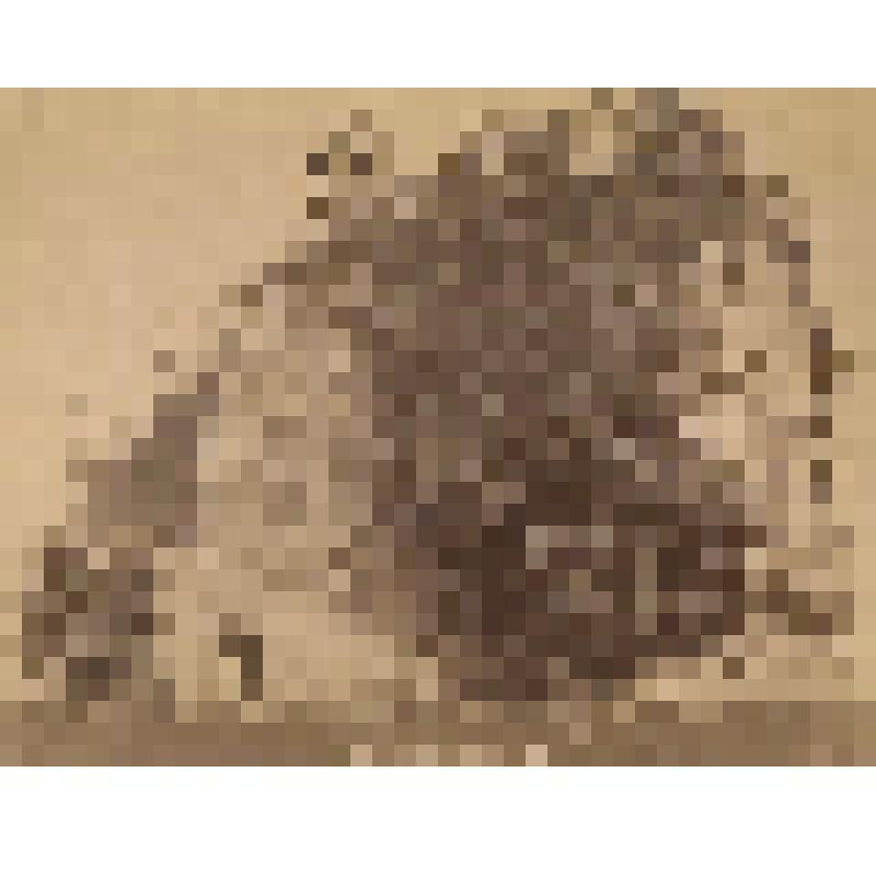 Бедийский собор. Грузия, Абхазия. Бедийский собор. Общий вид с юго-западной стороны. Руины