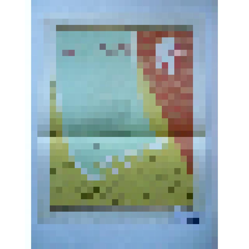 Образцы бланков, грамот и дипломов. Диплом третьей степени