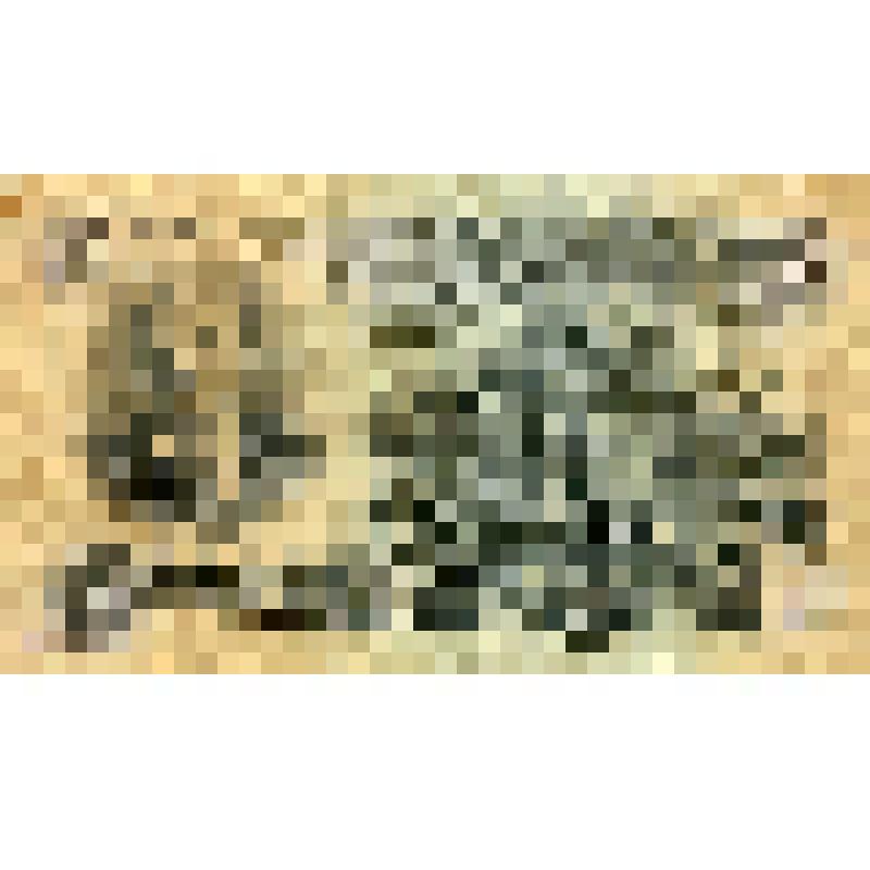 Билет Государственного Банка СССР 10 рублей