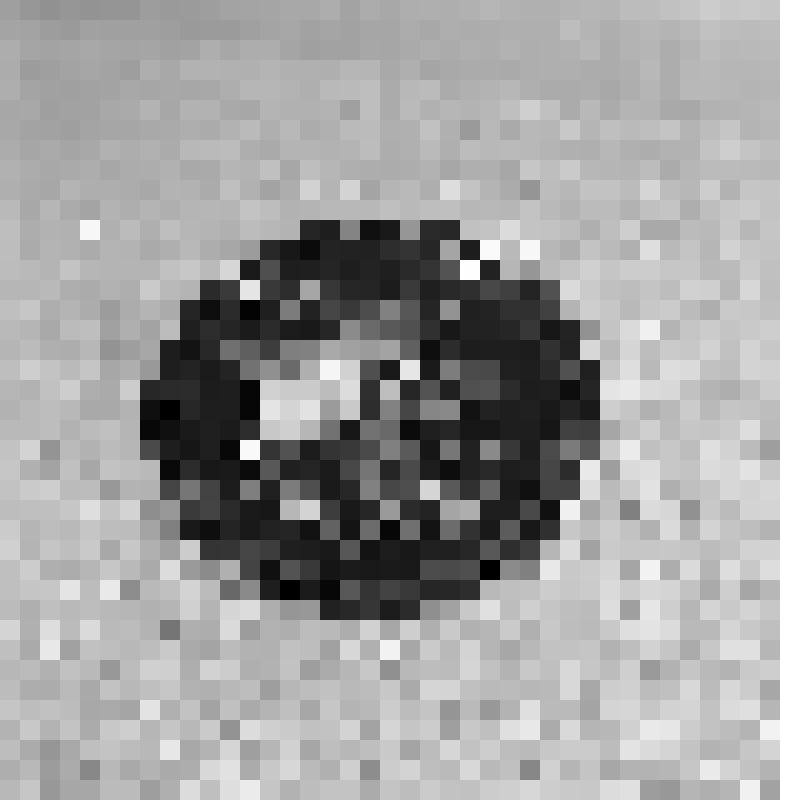 Негатив. Автор Гогин А.П. Поднос "Роза с анютиными глазками". Железо, масло, лакировка. Жостовская фабрика декоративной росписи, Мытищинский р-н, Московская область. Середина ХХ в. Материалы из коллекции "Фототека НИИХП"