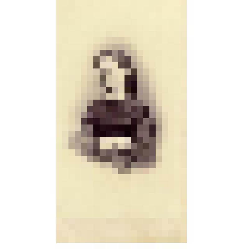 Фотография. Княжна Чегодаева Екатерина Александровна, по мужу Богоявленская