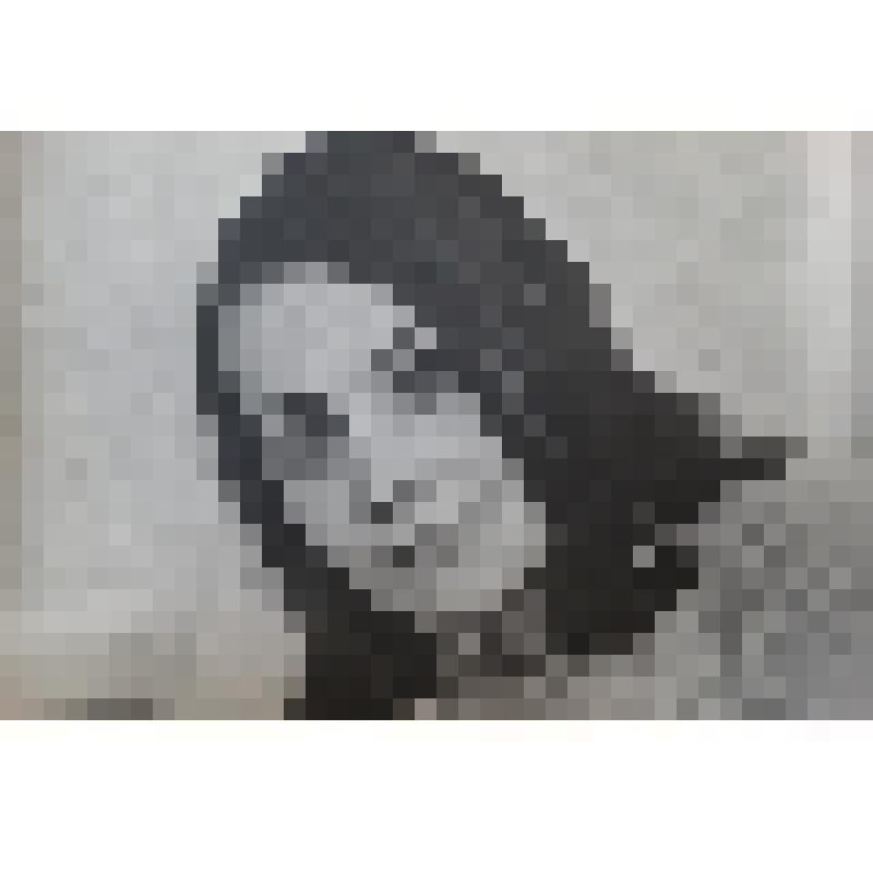 Фото. Роза Цирихова - актриса Осетинского театра, 1972 г