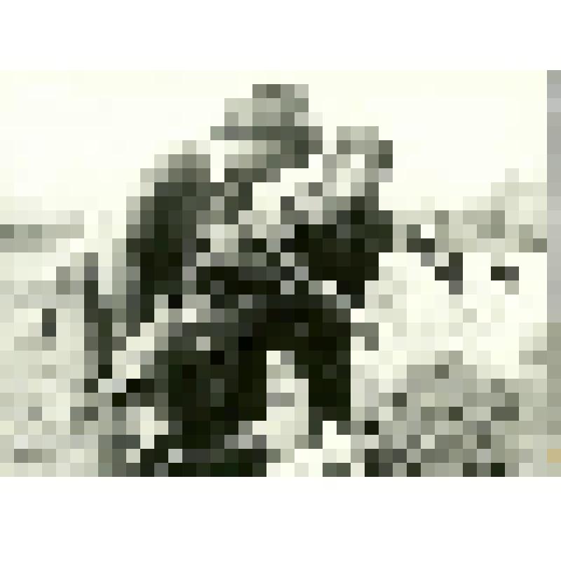 Фотография. Серия из 4-х снимков "Пахарь"