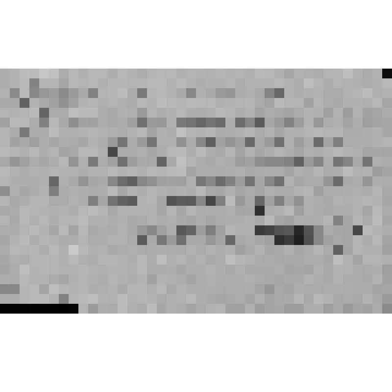 Удостоверение