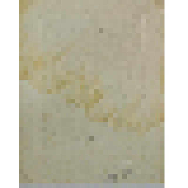 Портрет Пьетро Берреттини да Кортона