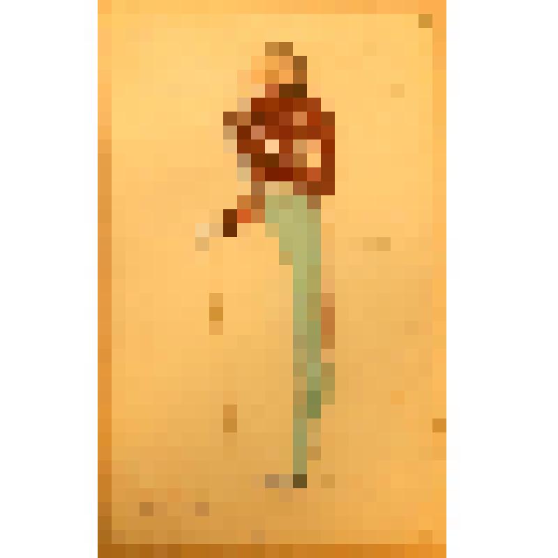 Эскиз костюма. "Музиль". "Горе от ума" (Режиссер Б.Н Норд). Москва, Госцентюз