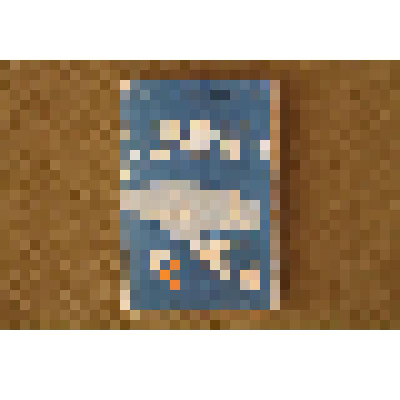 Халиуллина Р. «Агыйдел аккош иле.»