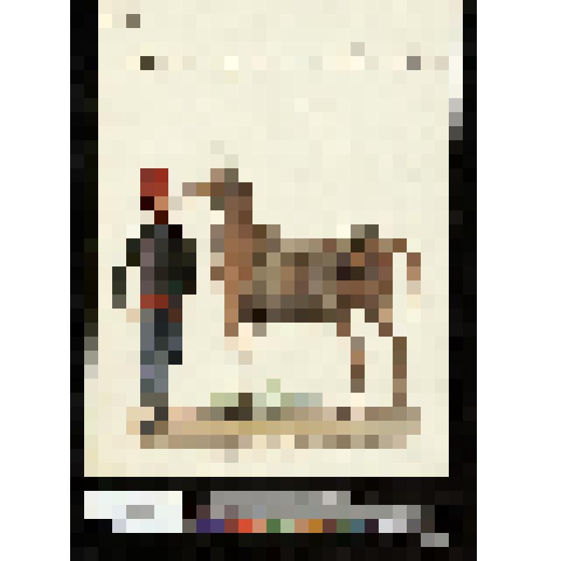 Водонос полка конной гвардии султана турецких войск