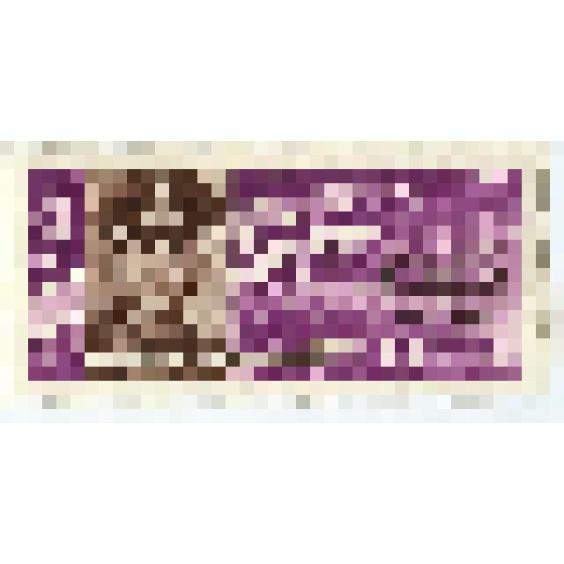 Марка почтовая. "Групповой полет советских космонавтов на кораблях "Восток-5" и "Восток-6". В.Ф. Быковский". 6 копеек