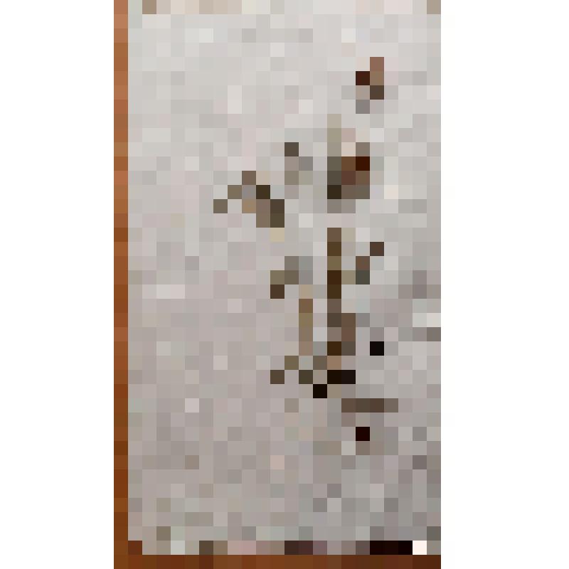 Гербарный лист. Змееголовник Рюйша