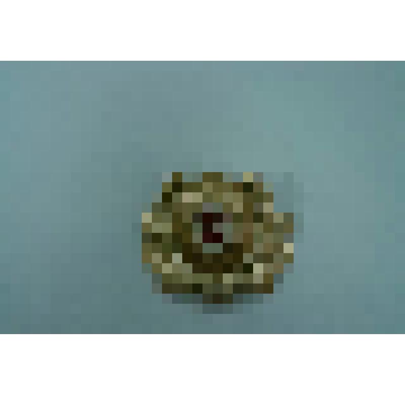 Кокарда офицерская. Кокарда с эмблемой к повседневной фуражке, принадлежавшая Федорову В.А