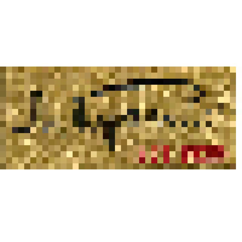 Значок. Горький Максим (1868-1936), на булавке. СССР