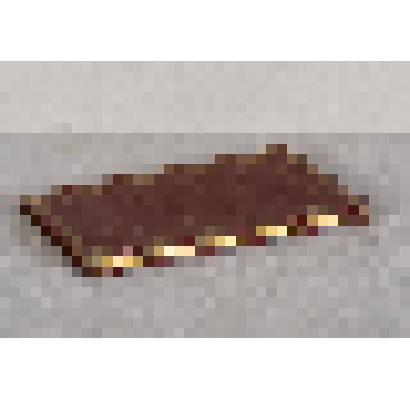 Книга. Продолженїе технологическаго журнала, состоящее изъ Ученыхъ Извѣстїй, имѣющихъ предметомъ приложенïе учиненныхъ въ наукахъ открытïй къ практическому употребленїю. Tома пятаго Часть I