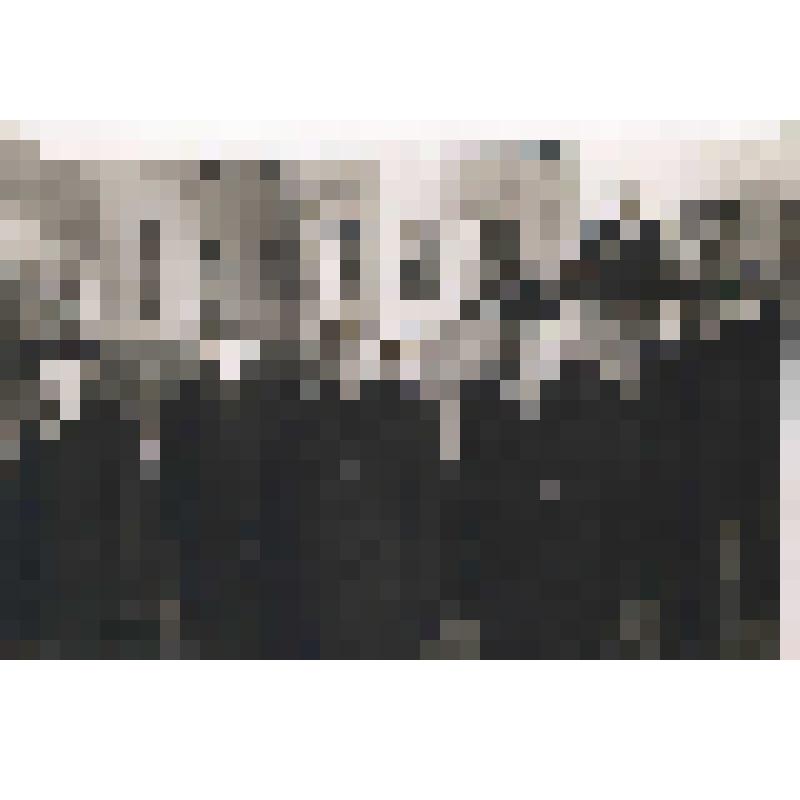 Фото групповое черно-белое