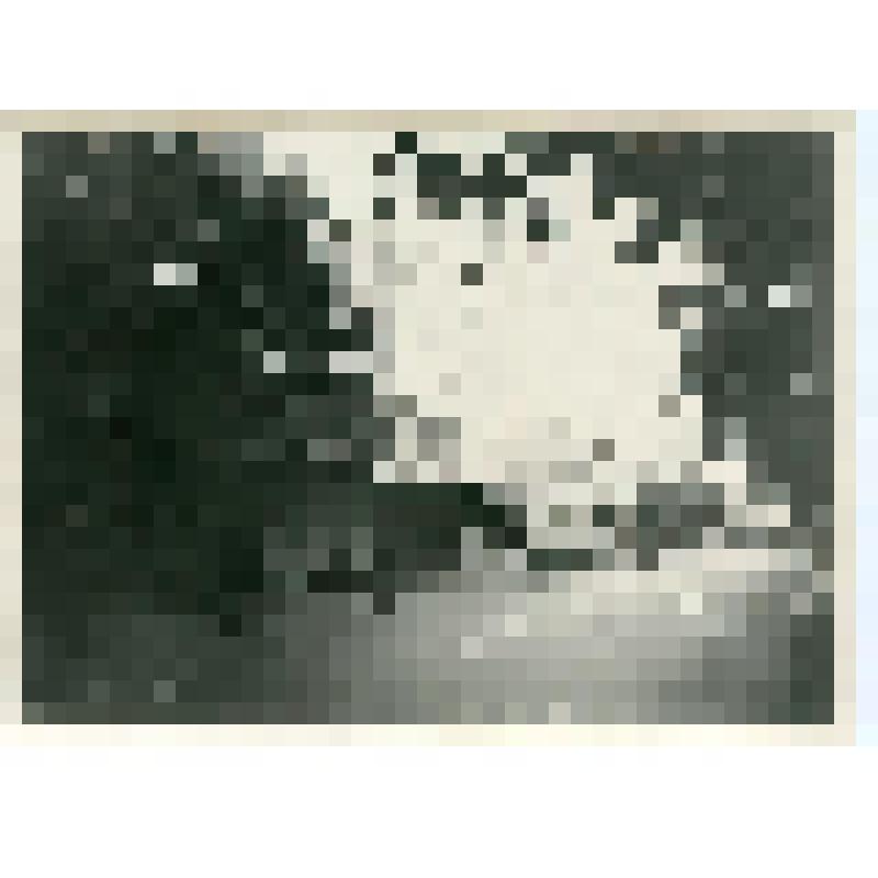 Фотография. Драматический театр им. Пушкина А.С. Москва