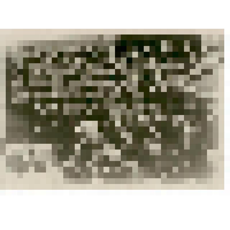 Фотография. На заседании XI научной конференции Института акушерства гинекологии МЗО РСФСР, из коллекции материалов о Полущеве Федоре Николаевиче, враче-гинекологе, преподавателе СМИ, организаторе роддомов в Сталинском  (Заводском) и Фрунзенском районах г