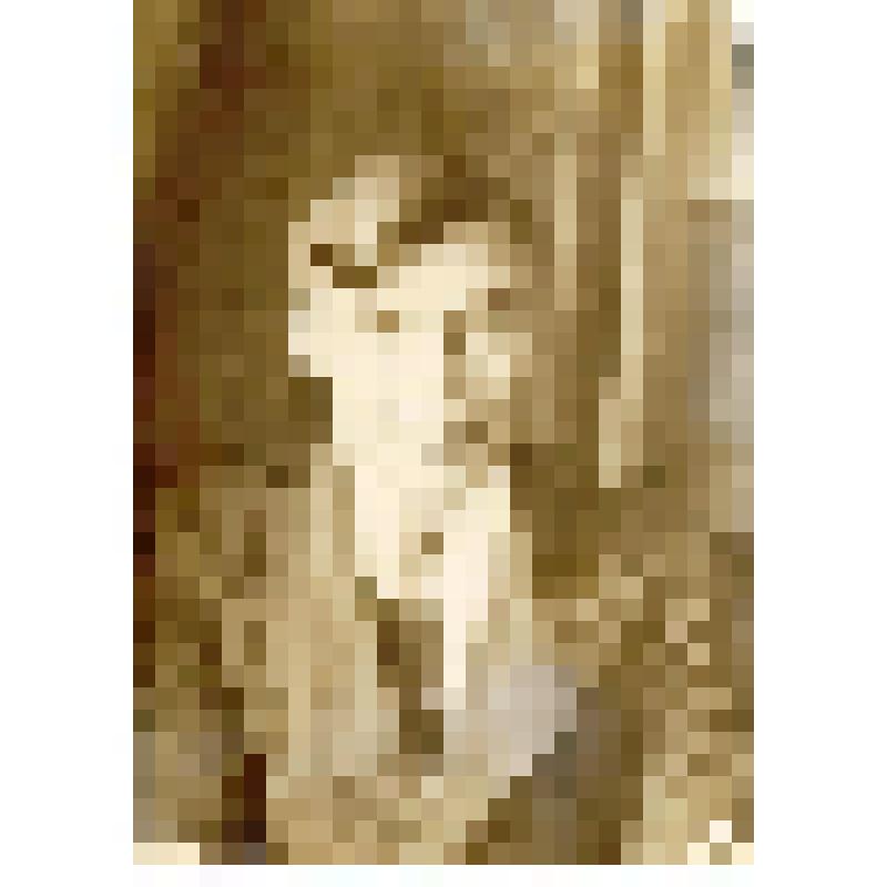 Фотография. Тебетева Дмитрия Павловича