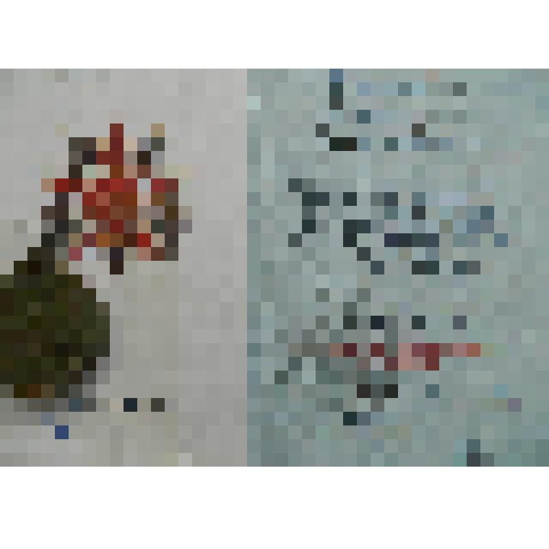 Орденская книжка ЕрКМ-734