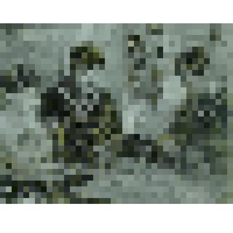 Клише. Иллюстрация "Режиссер молодежного театра-студии "Мини" Г.Д.Коваленко беседует с минивцами"