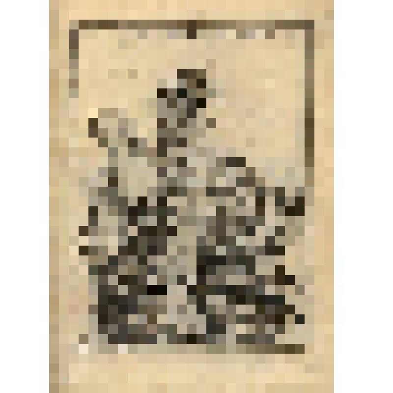 Les Chevaux du Soleil. (Скульптурная группа "Кони солнца" (№ 65) - лист из альбома: «Recueil des statues, groupes, fontaines, termes, vases, et autres magnifiques ornaments du Chateau & Parc de Versailles.» T. I-IV. (Собрание фигур, групп, терм, фонтанов,