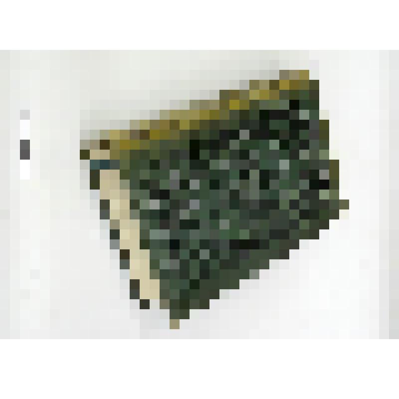 Продолжение свода законов Российской империи, изданного в 1857 году: По 31 марта 1863 года. Ч. 2. Книга